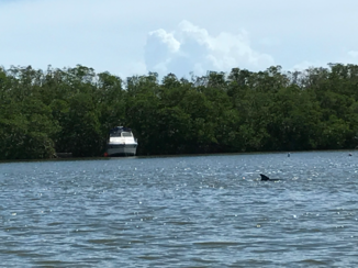 Florida Keys - Gilbert beach resort met dolfijnen