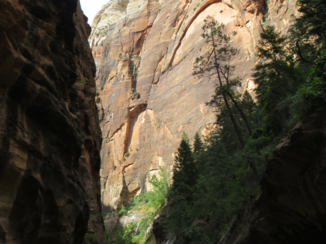 Utah - Wandeling door de Narrows in Zion National Park