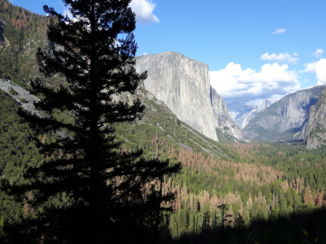 California - Gelukkig nog compleet