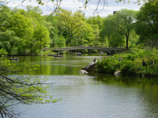 Times Square - Central parc