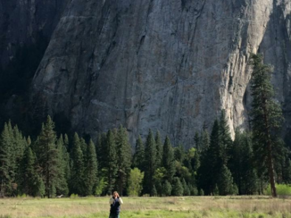 Yosemite National Park - Verhouding van de bergen