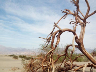 Bryce Canyon National Park - Death Valley