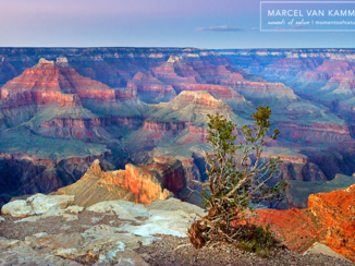 Grand Canyon National Park - Grand Canyon