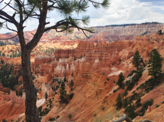 Bryce Canyon National Park - Bryce Canyon uitzicht