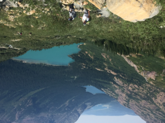 Yellowstone National Park - Schitterend Glacier National park