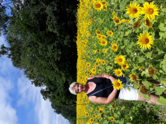 Amerika - Sunflower field in Poolesville