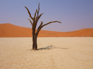 ANWB Vakantie - Dodevlei