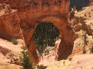Amerika - Bryce canyon