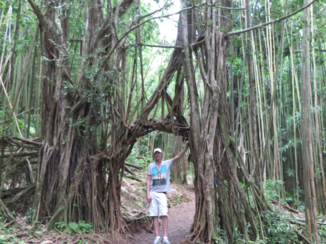 Honolulu - Manoa Falls trail