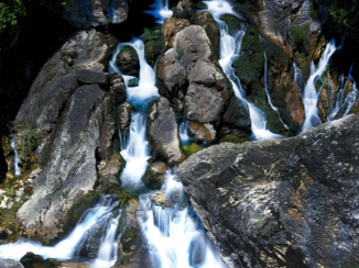 Amerika - Natuurgebied USA