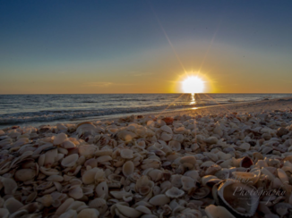 Florida - Sanibel Island