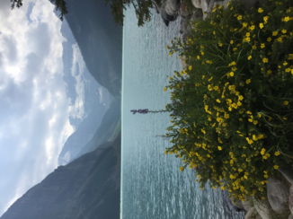 Tioga Tours - Lake Louise