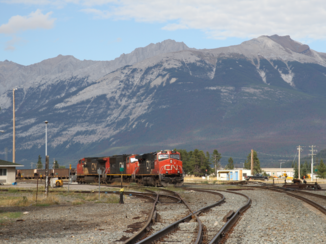 Tioga Tours - Jasper Canada