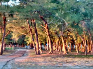 Golfkust van Florida - Avondschemering op Coquina Beach,  Anna Maria Island