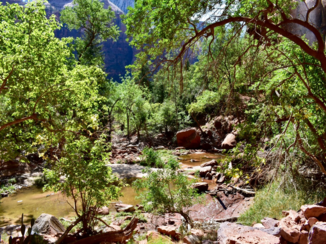 Zion National Park - Uitzicht op de vallei