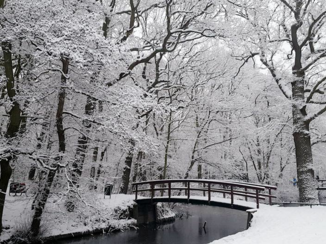 Utah - Winter in the lovely Hague- The Netherlands