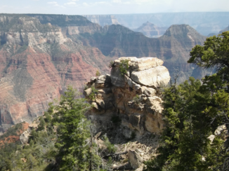 Yellowstone National Park - Grand Canyon-North Rim