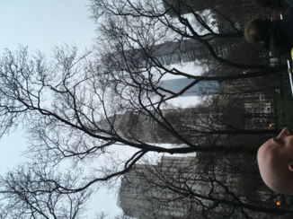 New York - central Park