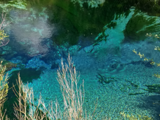 California - Ash Meadows, Death Valley