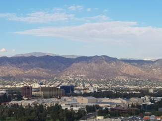 Hollywood - hollywood