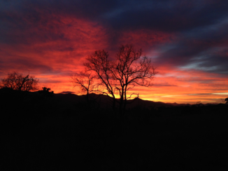 California - South-African sunset