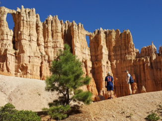 Amerika - Bryce canyon