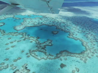 Pacific Island Travel - GBR