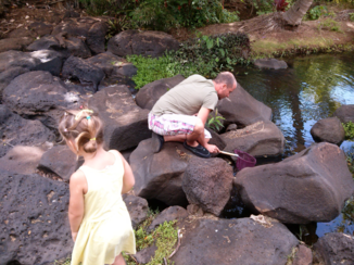 Kauai - Plezier voor iedereen