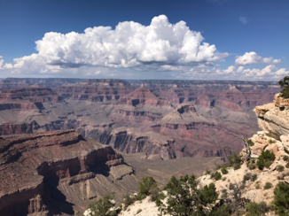 Amerika - Grand canyon