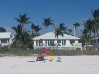 Deep South - Florida