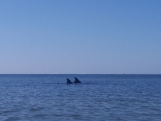 Deep South - ochtend uitzicht