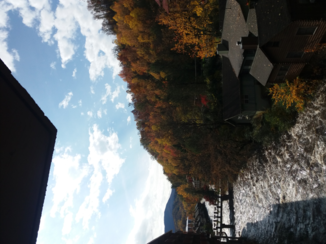 Deep South - Hotel Smokey Mountains