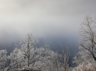 Great Smoky Mountains National Park