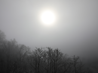 Great Smoky Mountains National Park