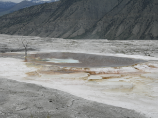 Yellowstone National Park