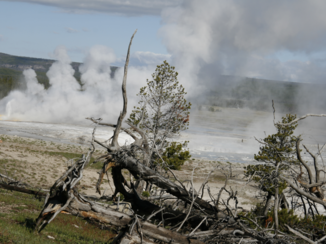 Yellowstone National Park