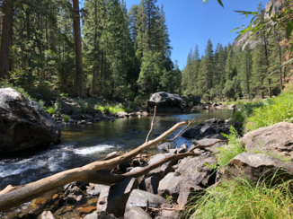 Rondreis Westkust Amerika - Yosemite Park