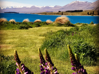 Travel Essence - Lake Tekapo