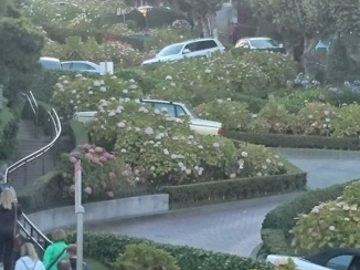 San Francisco - Lombardstreet