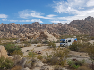 Amerika - Joshua Tree