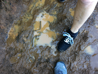 Kauai - Beetje slippery.... tijdens Kalalau trail