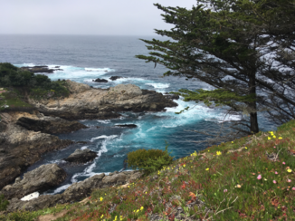 Highway 1 (Amerika) - Highway 1