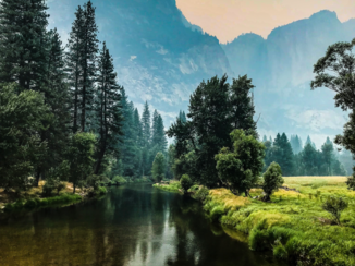 Yosemite National Park - Yosemite by fire