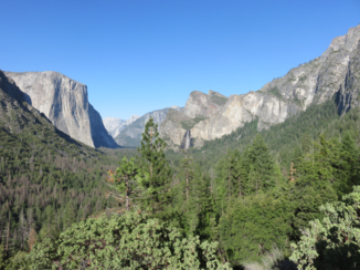 Yosemite National Park - Valley