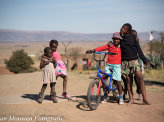 Djoser - Spelen de kinderen