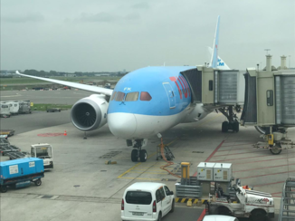 Tui - Tui Dreamliner