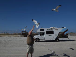 Amerika - Daytona beach