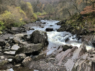 New York - Callander