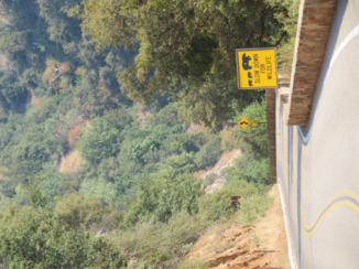 Death Valley National Park - Bergen