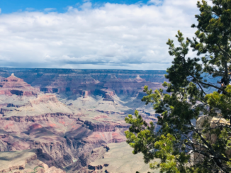 Amerika - Grand canyon